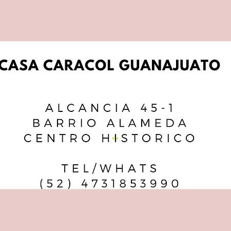 Casa Caracol Guanajuato Aparthotel Exterior photo